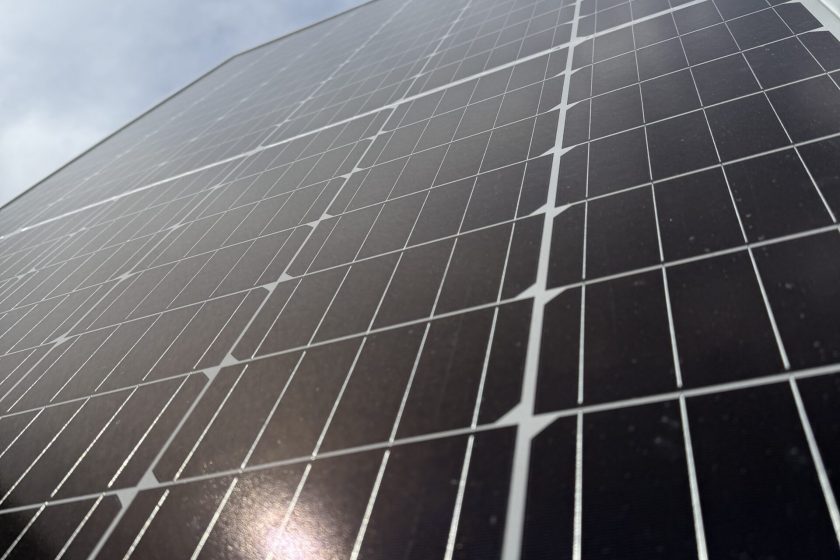 Sentinel Website (Scout Panel 2)